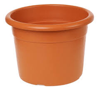 Vari tipi di vasi: Standard Plasticotto