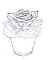Rose en fleur, décoré dans le verre